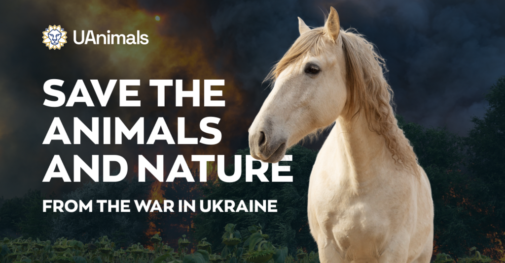 Донат на допомогу тваринам для Animals UA